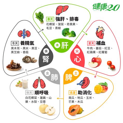 食物 五行|五行五色挑食法，吃出抗病力｜健康2.